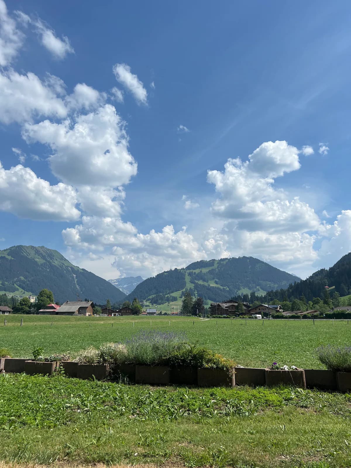 1.5 Zimmer in Bern, Saanen