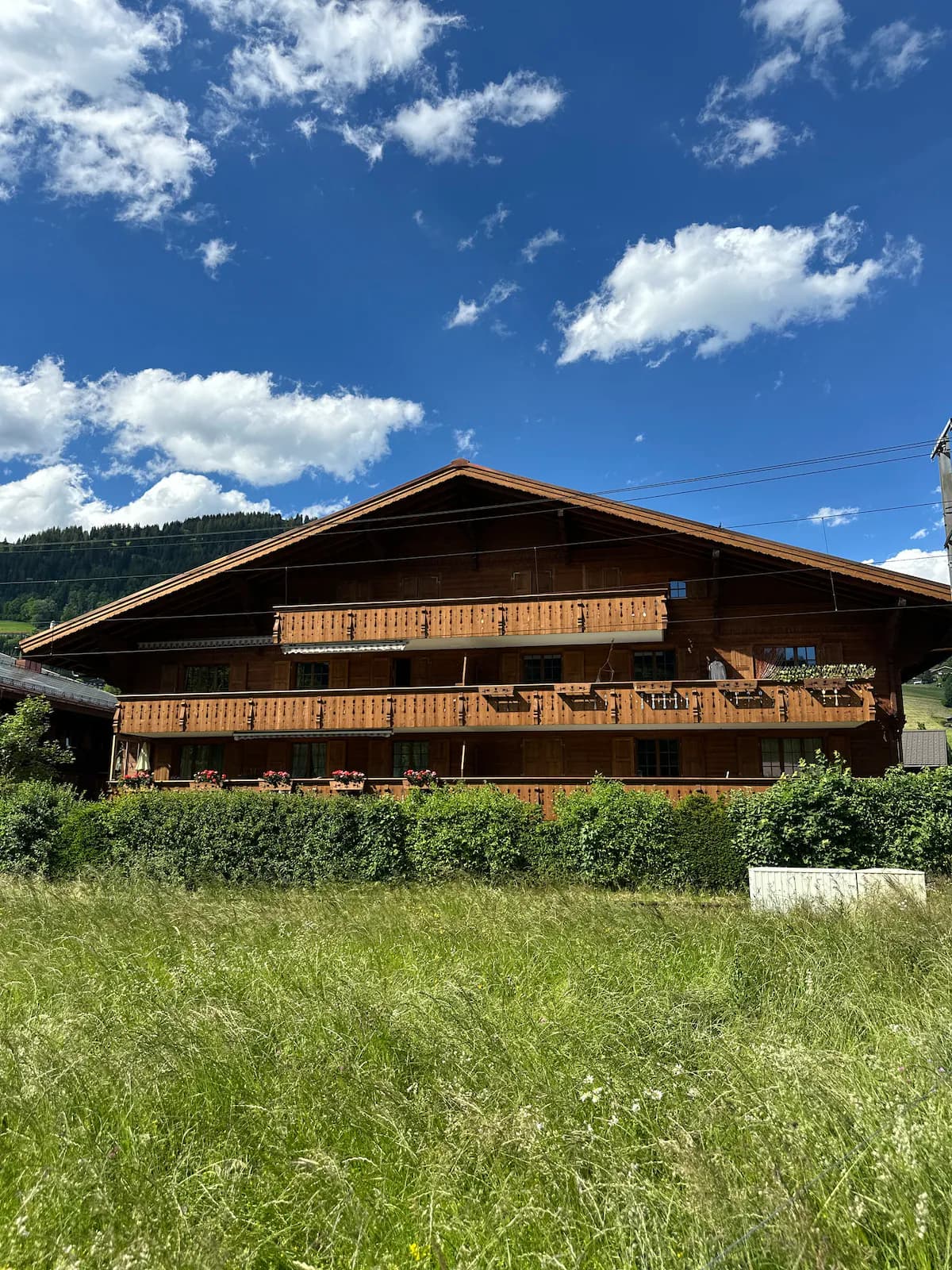 Stilvolle Wohnung in Saanen